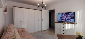 Marcos Apartments Nice and Cozy Mioveni